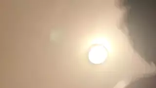 Bunbun420247